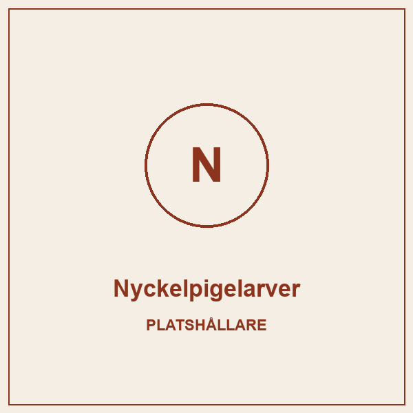 Produktbild för Nyckelpigelarver